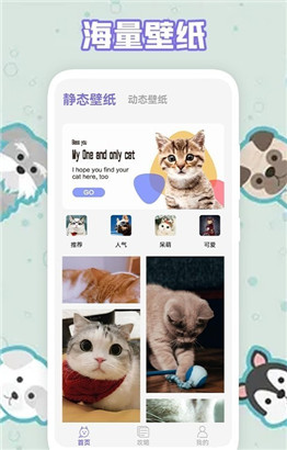 多多养猫助手安卓最新版下载