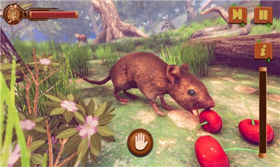 老鼠模拟生存游戏手机版
