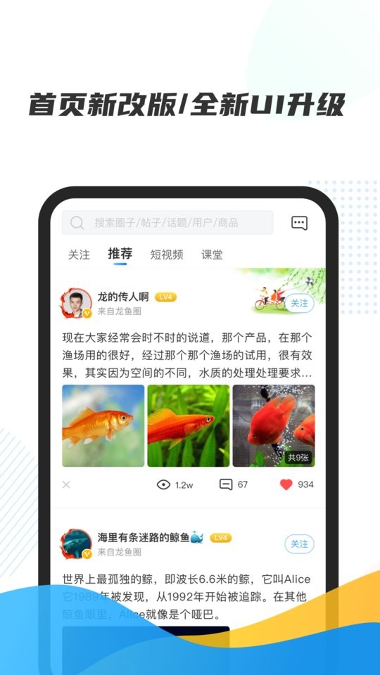 龙巅水族论坛app
